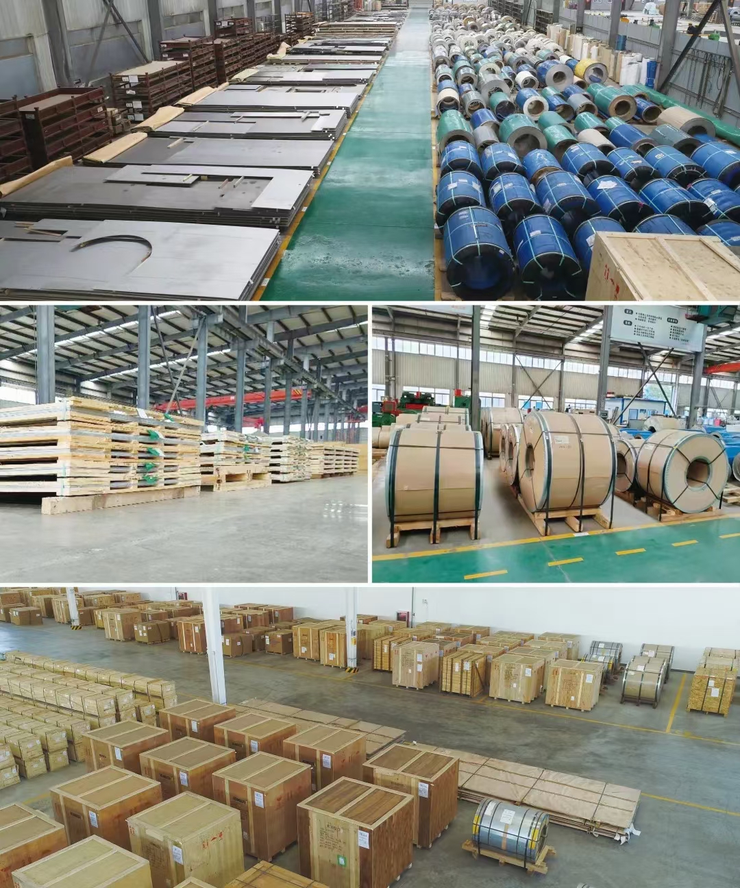 mmexport1711424736647.jpg